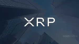 Ripple Co-Founder Chris Larsen Under Scrutiny After $175 Million XRP Transfer During Price Highs