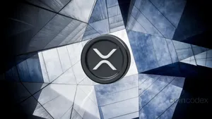 XRP Treasury Companies: Why These Companies Are Buying Up Millions in XRP
