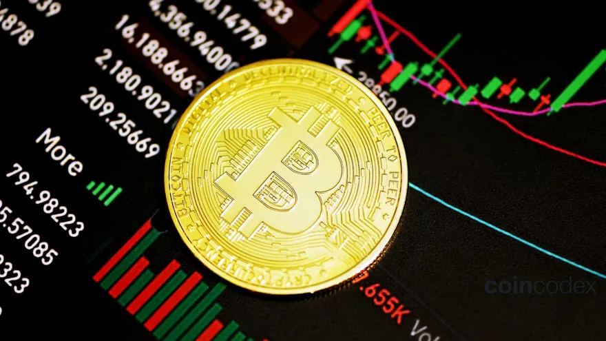 Bitcoin Rockets Back Above $113K — Is $116K Next or $102K Looming?