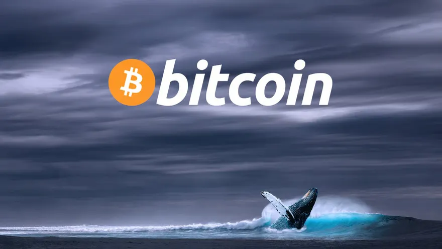 Bitcoin Whales Sell Over $2 Billion in BTC as January Looms as a Turning Point