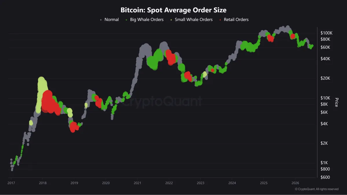 Bitcoin spot order size chart