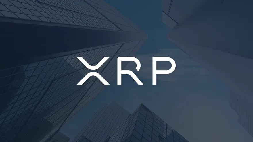 Top 10 XRP Rich List 2026: Who Are the Largest XRP Holders?