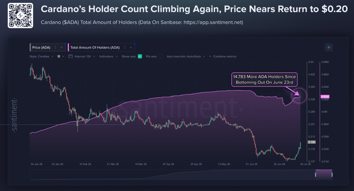 Cardano holder count