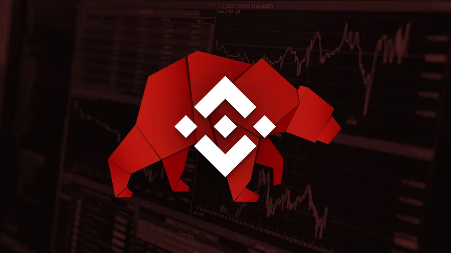 Binance Coin (BNB) Price Analysis – BNB Approaches Important Support