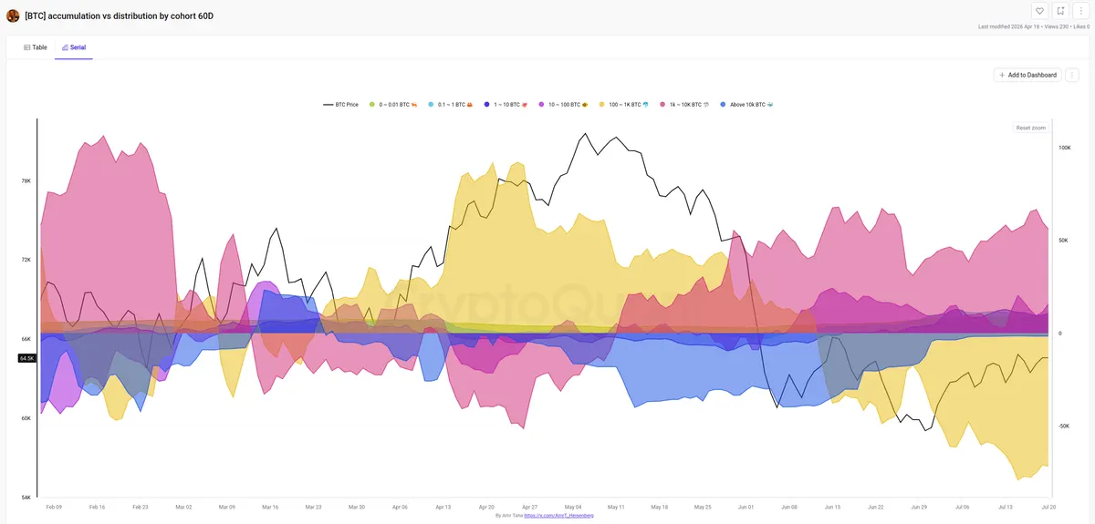 Bitcoin accumulation and distribution by cohort