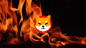 Shiba Inu Coin Burn: How many SHIB Coins Have Been Burned So Far?