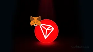 How to Add Tron Network (TRC20) to MetaMask?