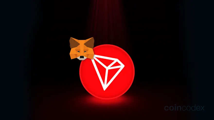 How to Add Tron Network (TRC20) to MetaMask?