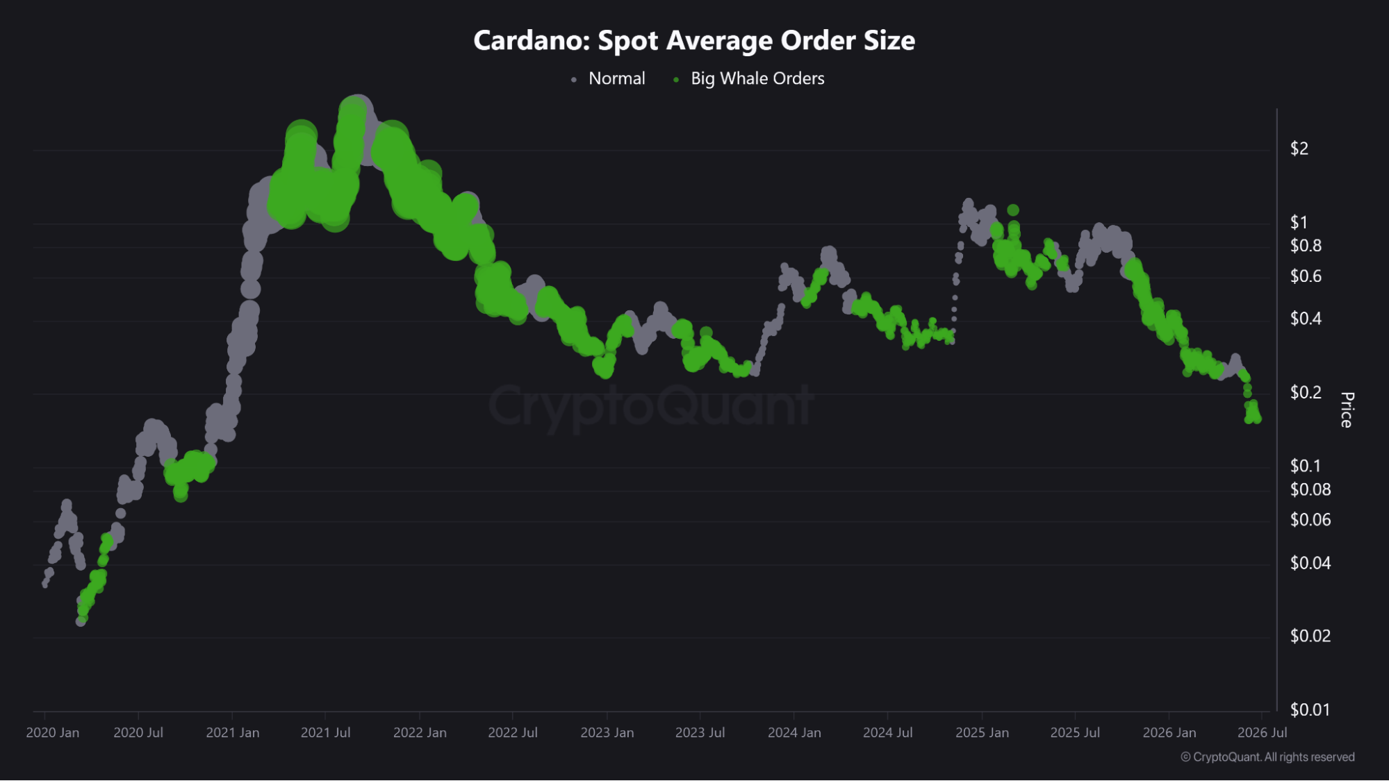 Cardano average order size