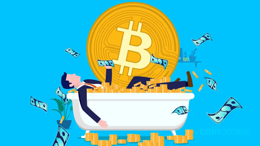 How Many Crypto Millionaires Are There?