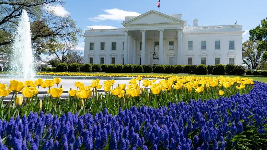 White House Crypto Advisor to Take Military Leave as Trump Presses Senate on CLARITY Act